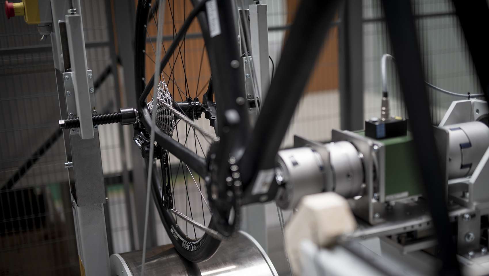 Notable - foto breed - Belgium2