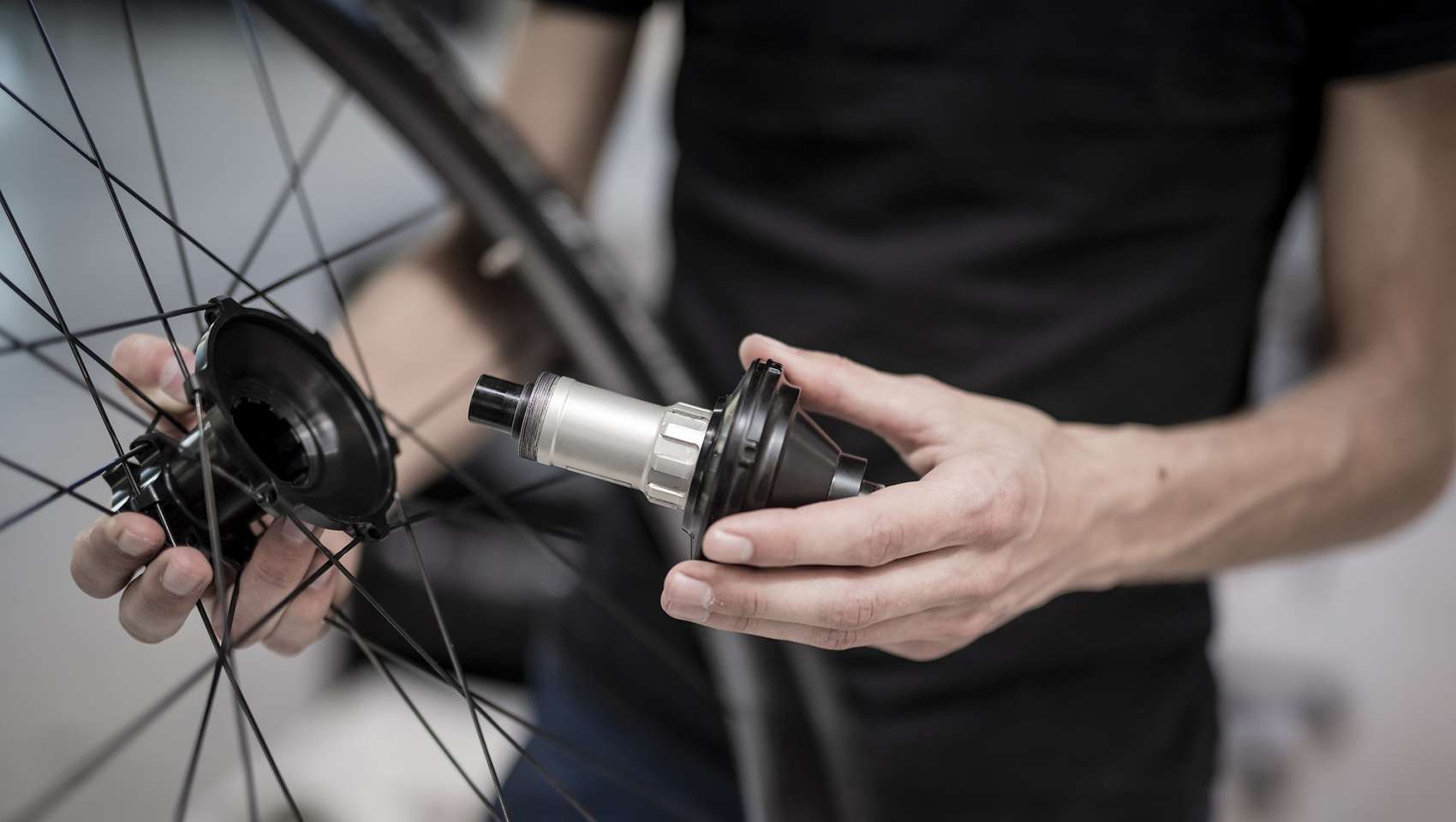 Notable - foto breed - Belgium1