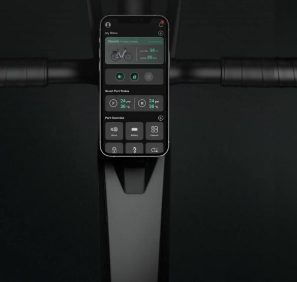 Foto in kolom - 6:4 verhouding