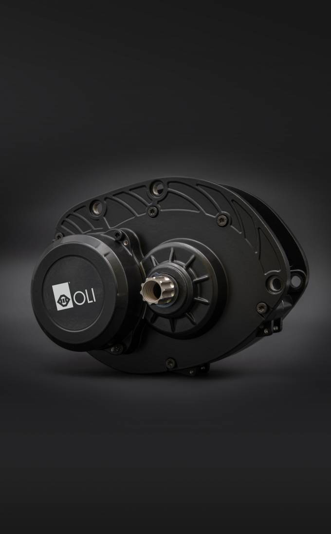 Oli - Foto1 in kolom 6:4 verhouding