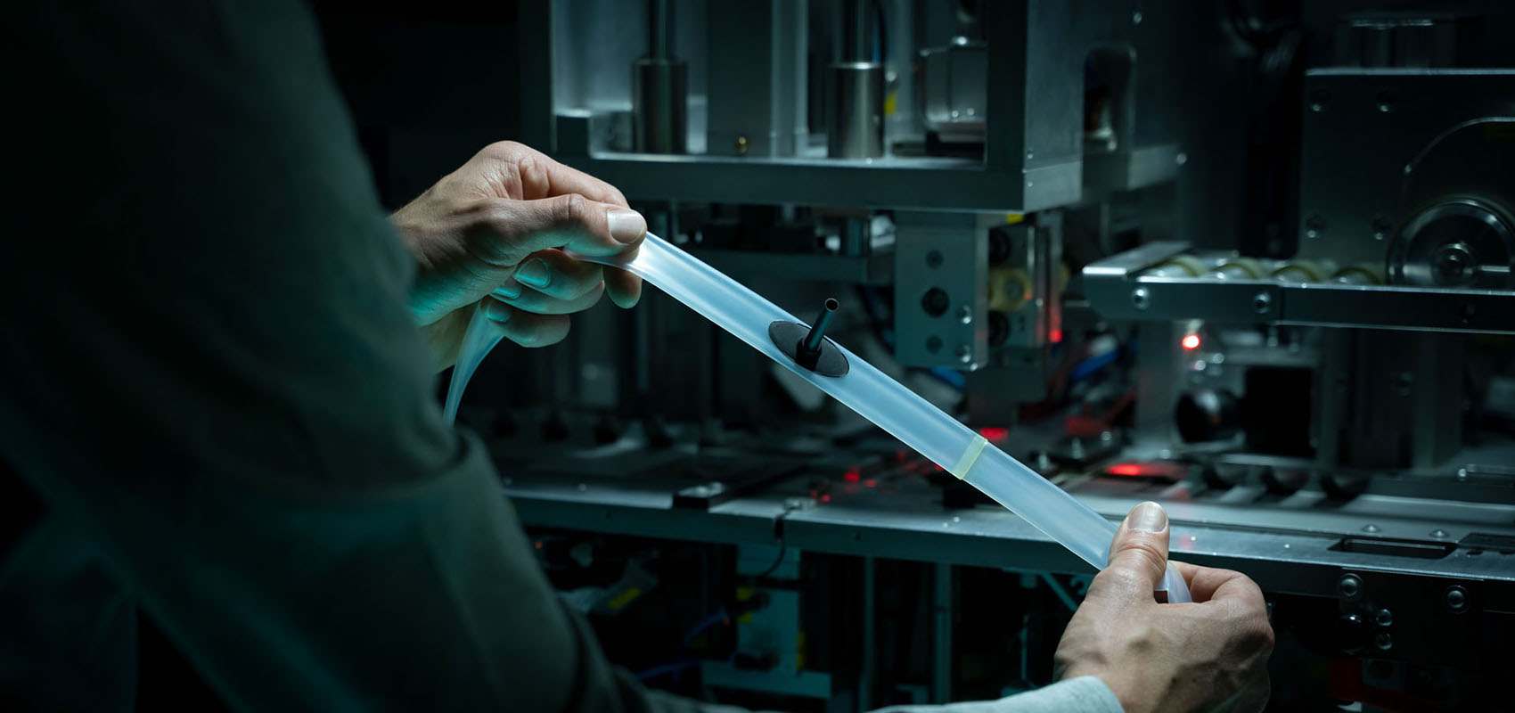 Notable - foto breed - 2 - Schwalbe