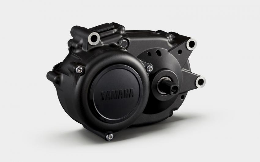 Foto in kolom 6:4 verhouding